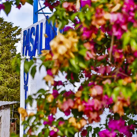 Pasalimani 住宿加早餐酒店