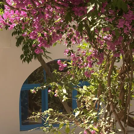 Pasalimani 3*