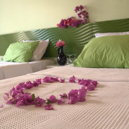 Bed and Breakfast Pasalimani 3*
