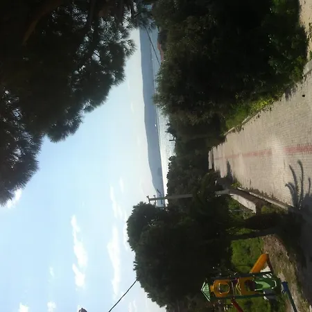 住宿加早餐酒店 Pasalimani 3*