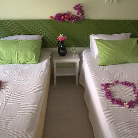 住宿加早餐酒店 Pasalimani