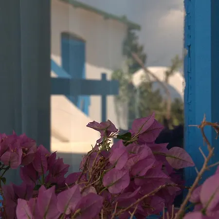 Bed and Breakfast Pasalimani