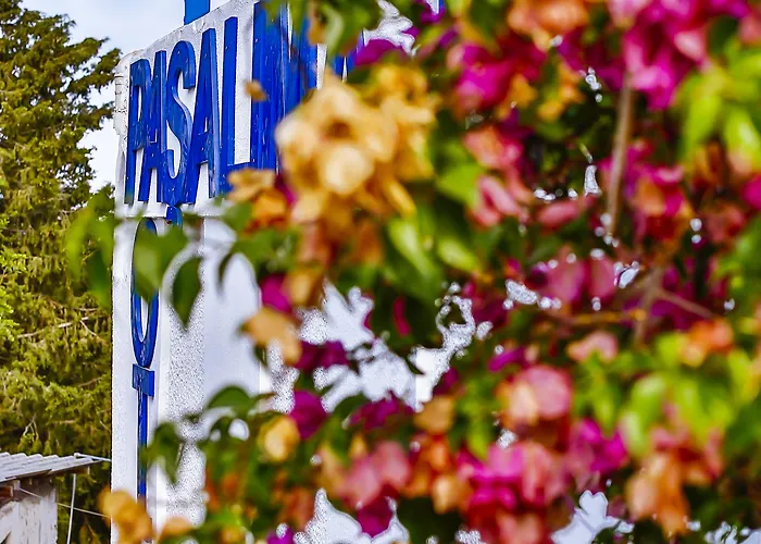 Pasalimani فندق مبيت وإفطار