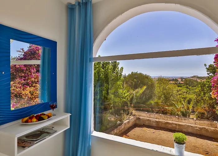 Oda ve Kahvaltı Paşalimanı