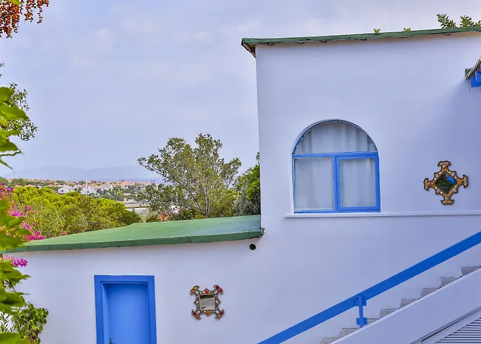 Oda ve Kahvaltı Paşalimanı