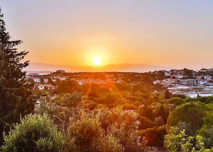 Oda ve Kahvaltı Paşalimanı