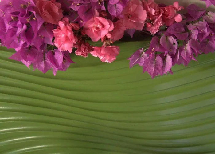 Paşalimanı Oda ve Kahvaltı Çeşme