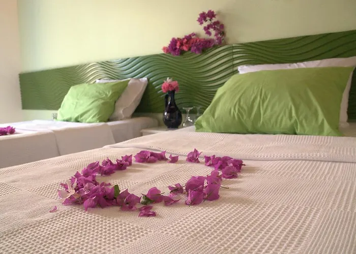 Oda ve Kahvaltı Paşalimanı 3*