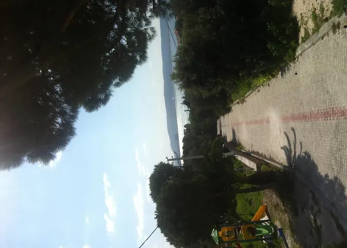 Oda ve Kahvaltı Paşalimanı 3*