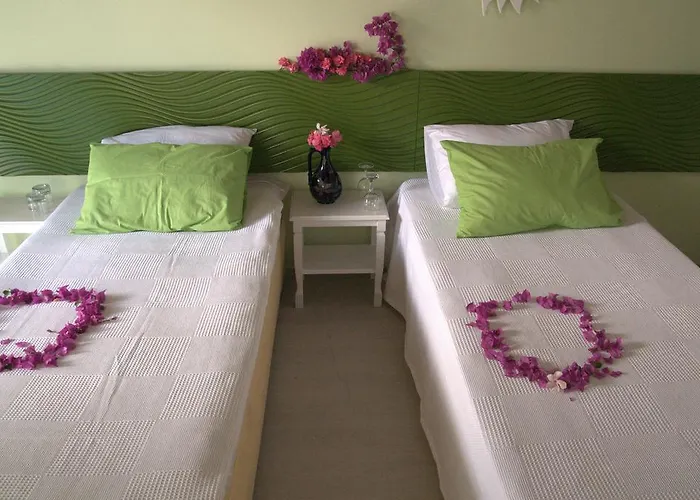 Oda ve Kahvaltı Paşalimanı